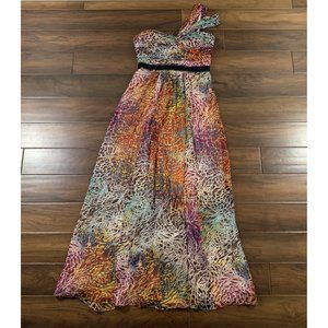 BCBGMaxAzria Women's Size 8 Inga One Shoulder Chiffon Silk Long Maxi Dress
